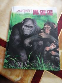 动物百科图鉴：黑猩猩