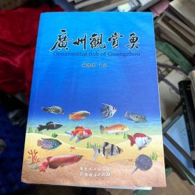 广州观赏鱼