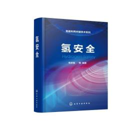 氢安全 化工技术 作者 新华正版