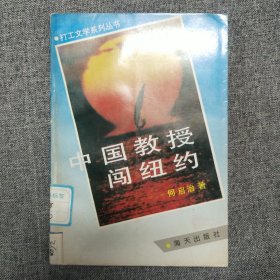 正版 中国教授闯纽约