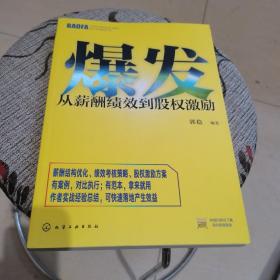 爆发：从薪酬绩效到股权激励