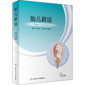 胎儿窘迫刘兴会；王子莲；漆洪波9787117332484