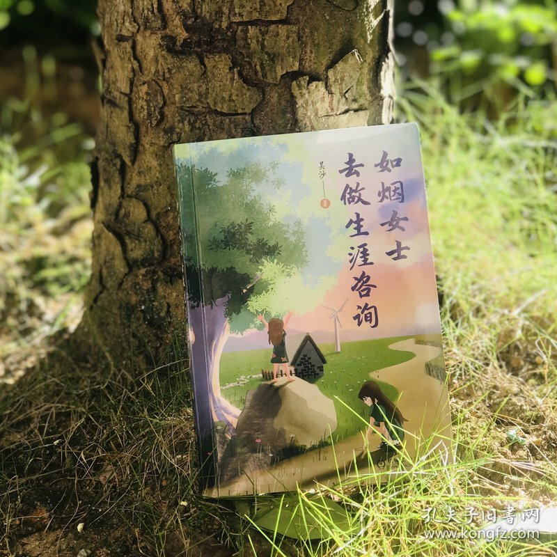 如烟女士去做生涯咨询