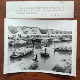 1979年，江苏省启东县战胜干旱夺得棉花大丰收。社员们踊跃向国家交售新棉