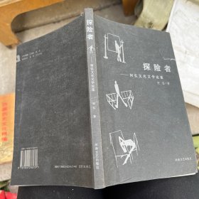 探险者:何弘文化文学论集