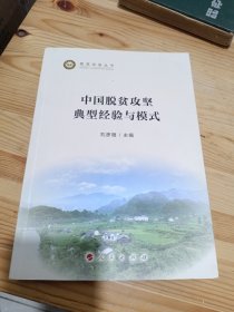 中国脱贫攻坚典型经验与模式（脱贫攻坚丛书）