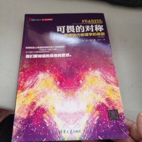 可畏的对称：探寻现代物理学的美丽