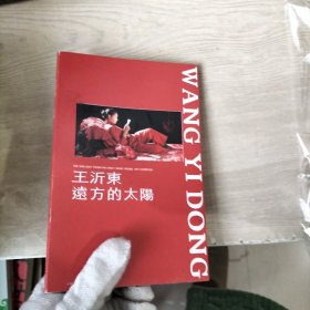 远方的太阳 王沂东艺术展