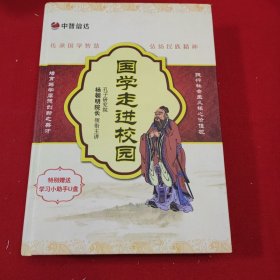 国学走进校园 杨朝明（共20碟DVD,无U盘） 中智信达