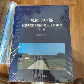 凤阳明中都石雕刻艺术遗存考古调查报告(上下)(精)