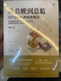 从总账到总监：CFO的私房财务笔记