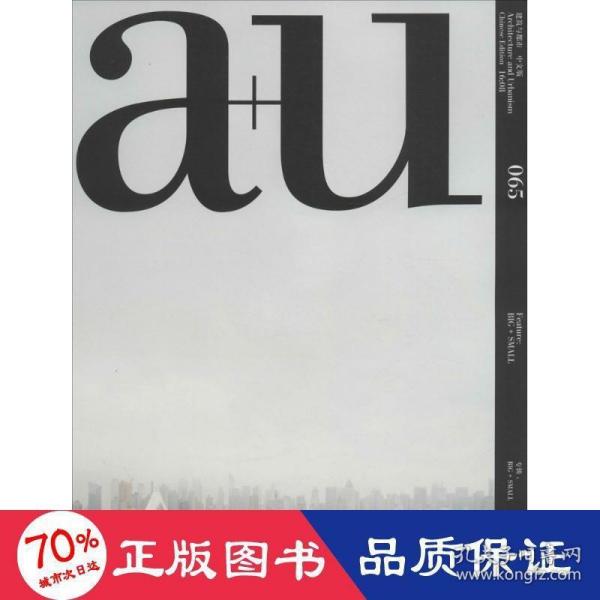 a+u建筑与都市（065）：BIG+SMALL