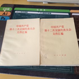 中国共产党第十二、十三次全国代表大会文件汇编