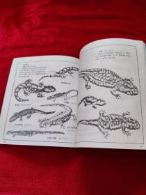 世界动物百科图谱(全4册)