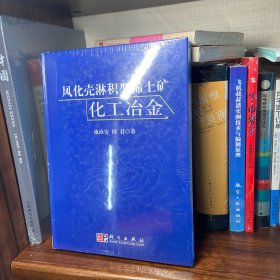 风化壳淋积型稀土矿化工冶金