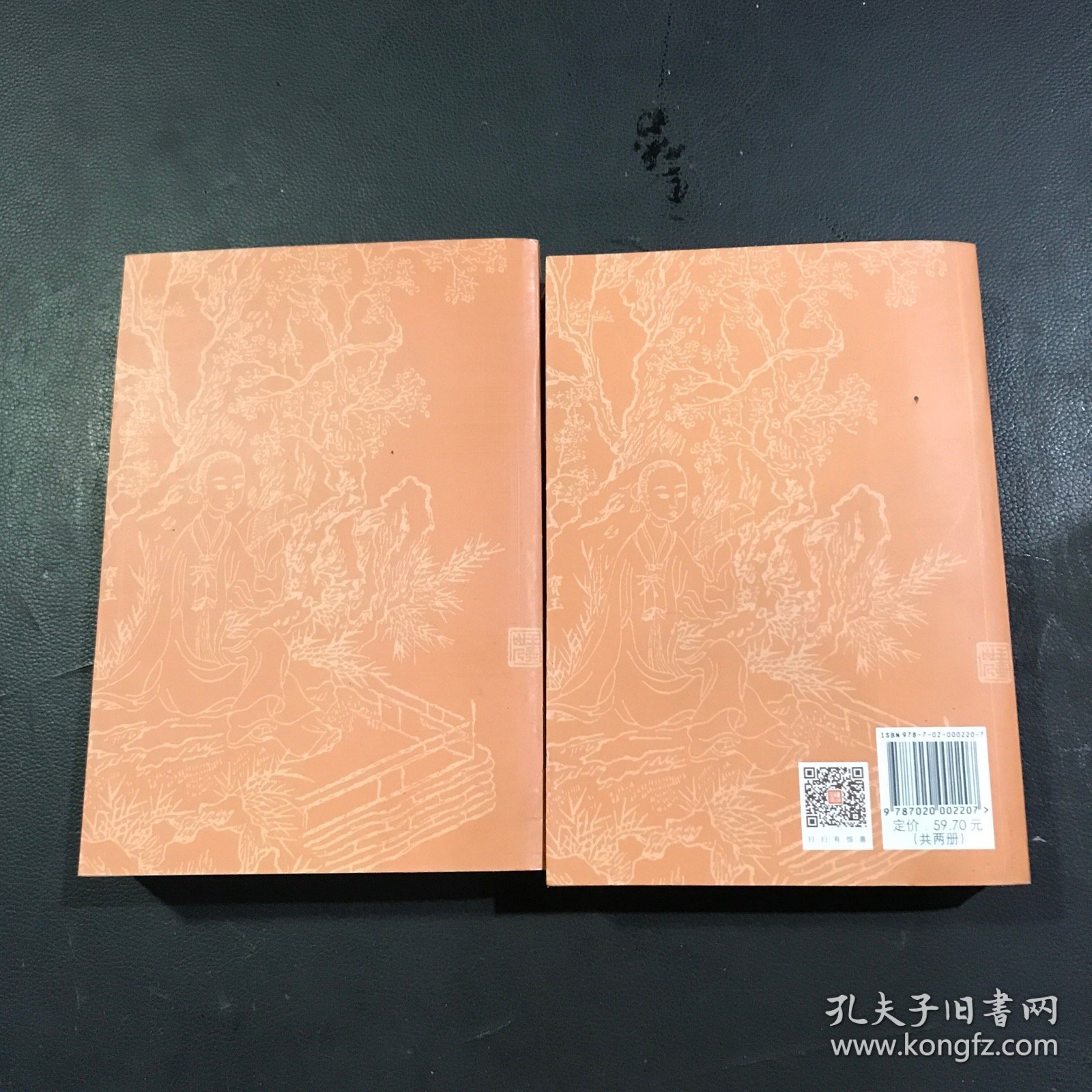 红楼梦（上下册）