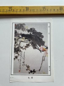 （店内满100元包邮）老画页：荷花，潘天寿绘