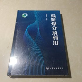 低阶煤分质利用