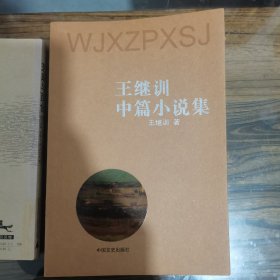 王继训中篇小说集