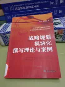 战略规划模块化撰写理论与案例(八品)