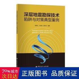 深层地震勘探技术陷阱与对策典型案例 能源科学 作者 新华正版