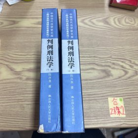 判例刑法学（上下卷）（中国当代法学家文库；陈兴良刑法研究专著系列）