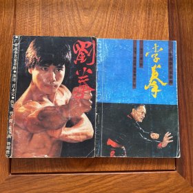 【包邮 】武术原版书籍 广东南拳名家套路  刘拳 李拳 两册合售