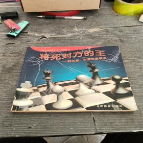 将死对方的王：我的第一本国际象棋书