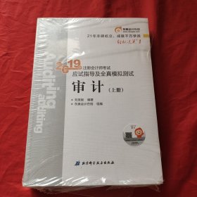 注会会计职称2019教材辅导东奥2019年轻松过关一《2019年注册会计师考试应试指导及全真模拟测试》审计（上下册）