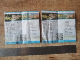 珠江日夜游船票2张