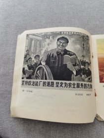 束鹿县群众业余画选