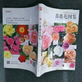 蔷薇花图鉴 