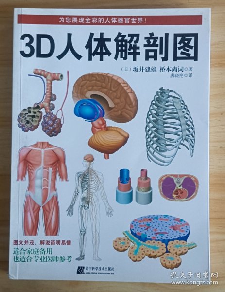 3D人体解剖图