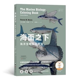 海面之下：海洋生物形态图鉴（一本可以涂色的海洋科普书）