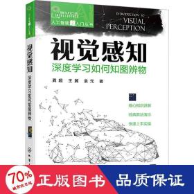 人工智能超入门丛书--视觉感知：深度学习如何知图辨物 ChatGPT聊天机器人入门