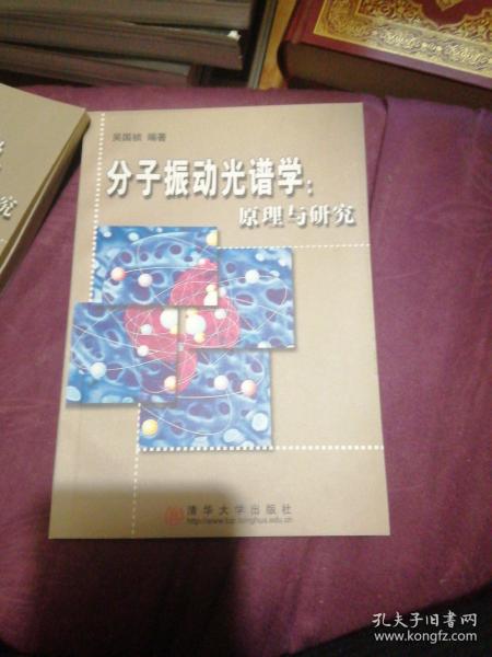 分子振动光谱学 原理与研究