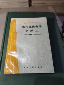 战斗在冀鲁豫平原上