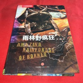 雨林野疯狂