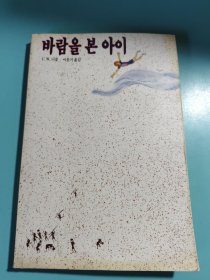 看到风的孩子（朝鲜文）바람을 본 아이韩国原版