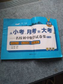 （蓝卷.基础卷.七年级）从小考、月考到大考——名校初中数学试卷集：每周过关+每月检测+期中期末（第2版）