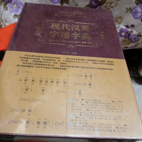 现代汉语字谱字典