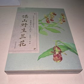 保山野生兰花