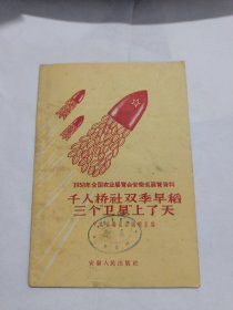 千人桥社双季早稻三个“卫星”上了天