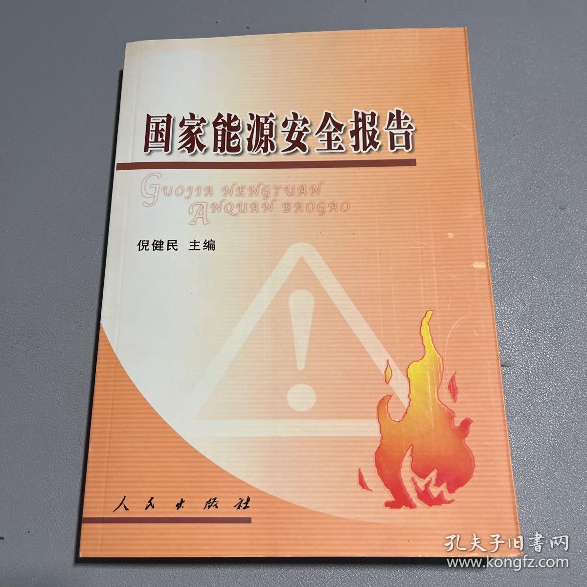 国家能源安全报告