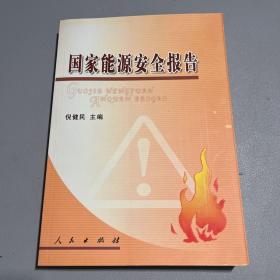 国家能源安全报告