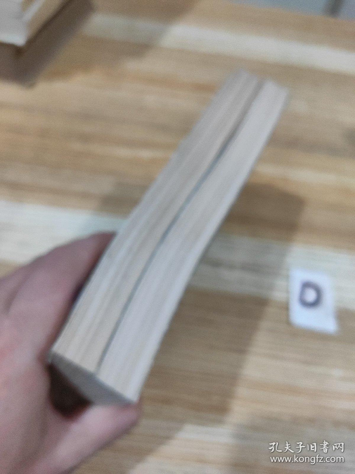 新译全本：黑奴吁天录（上下）