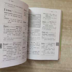 学生词典系列：学生反义词典