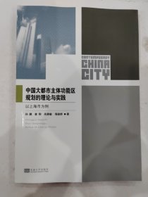 当代中国城市区域权力空间制度研究丛书：中国大都市主体功能区规划的理论与实践