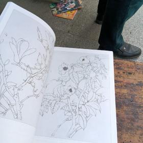 中国美术院校教材：从写生走向创作·花鸟画