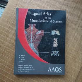 肌肉骨骼系统手术图谱Surgical Atlas of the Musculoskeletal System 【英文版】【内带光盘一张